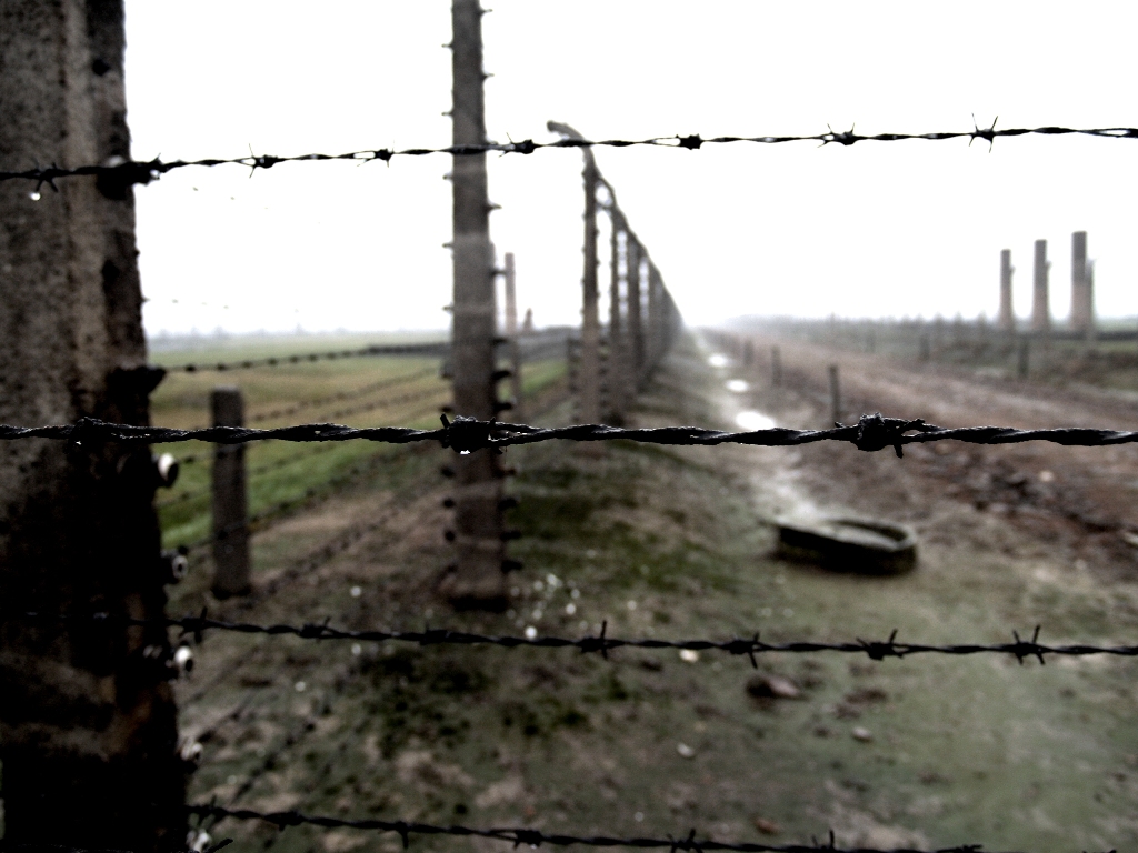 -.  . Auschwitz-Birkenau:  .