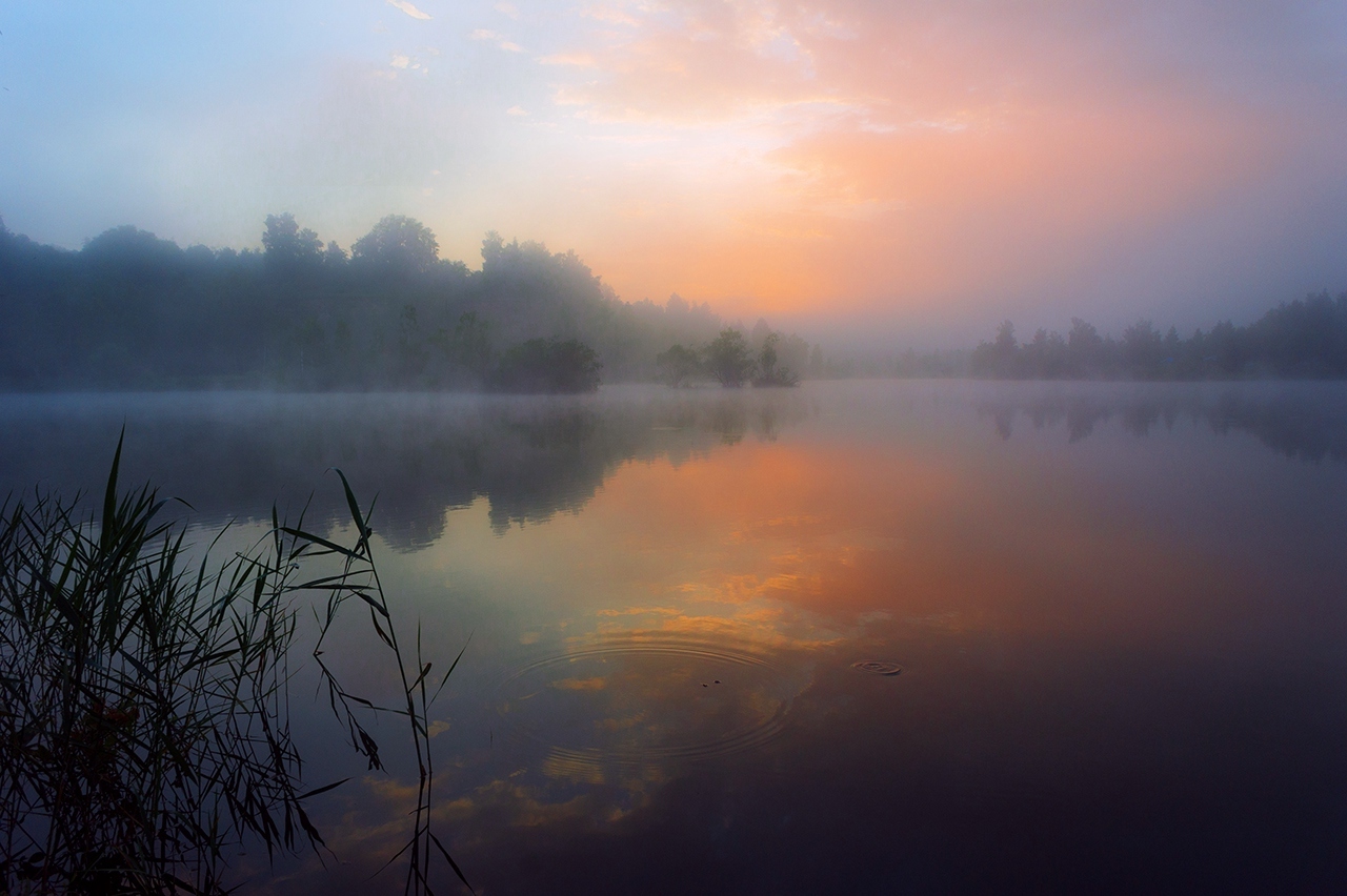 Раннее утро на озере туман