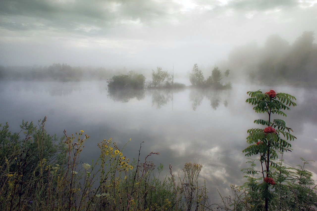 Озеро в августе туман