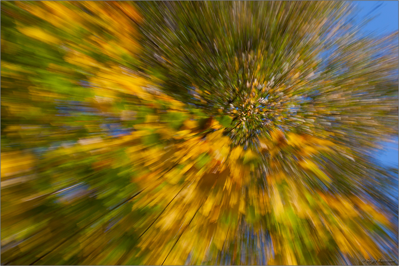 салют из осенних листьев картинки