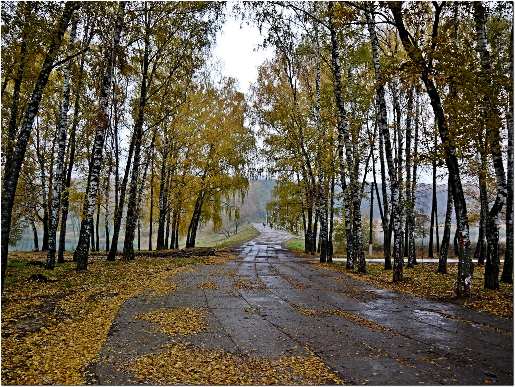 Фото-Тула. Георгий Сидоров. Осень в городе