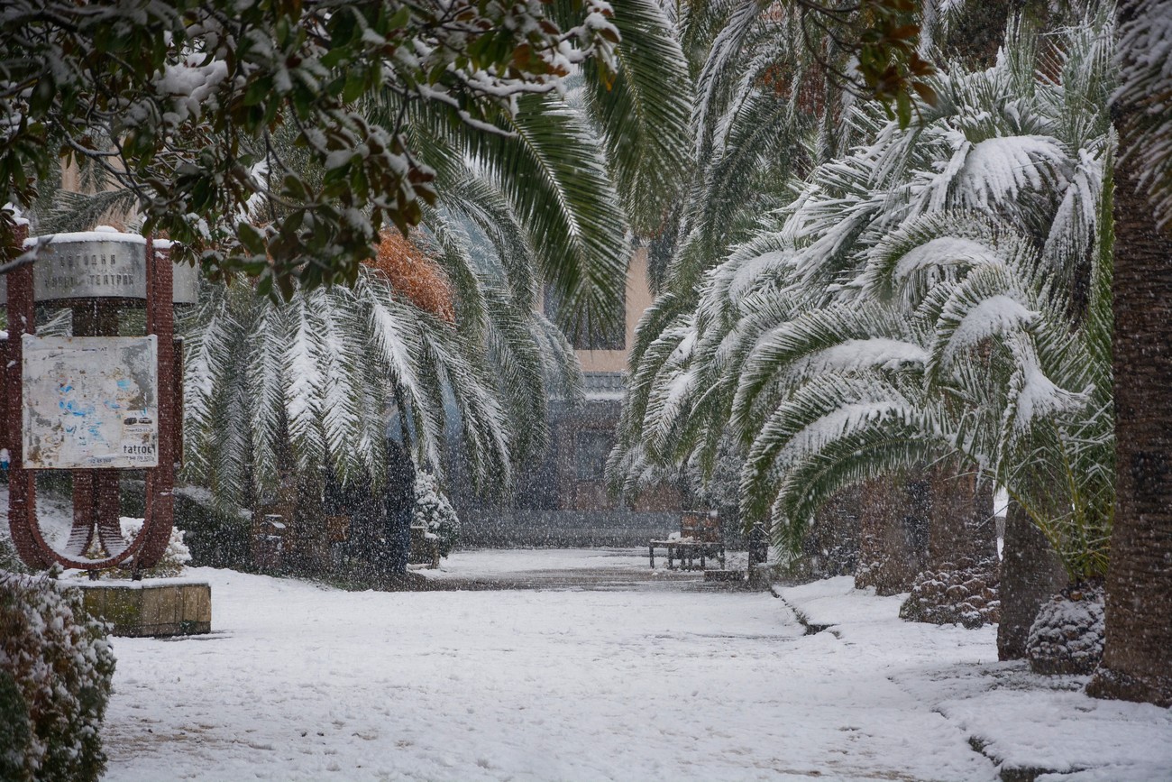 Абхазия Пицунда зима