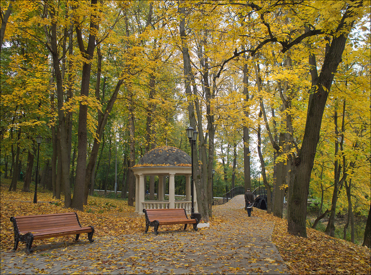 Тула Платоновский парк осенью