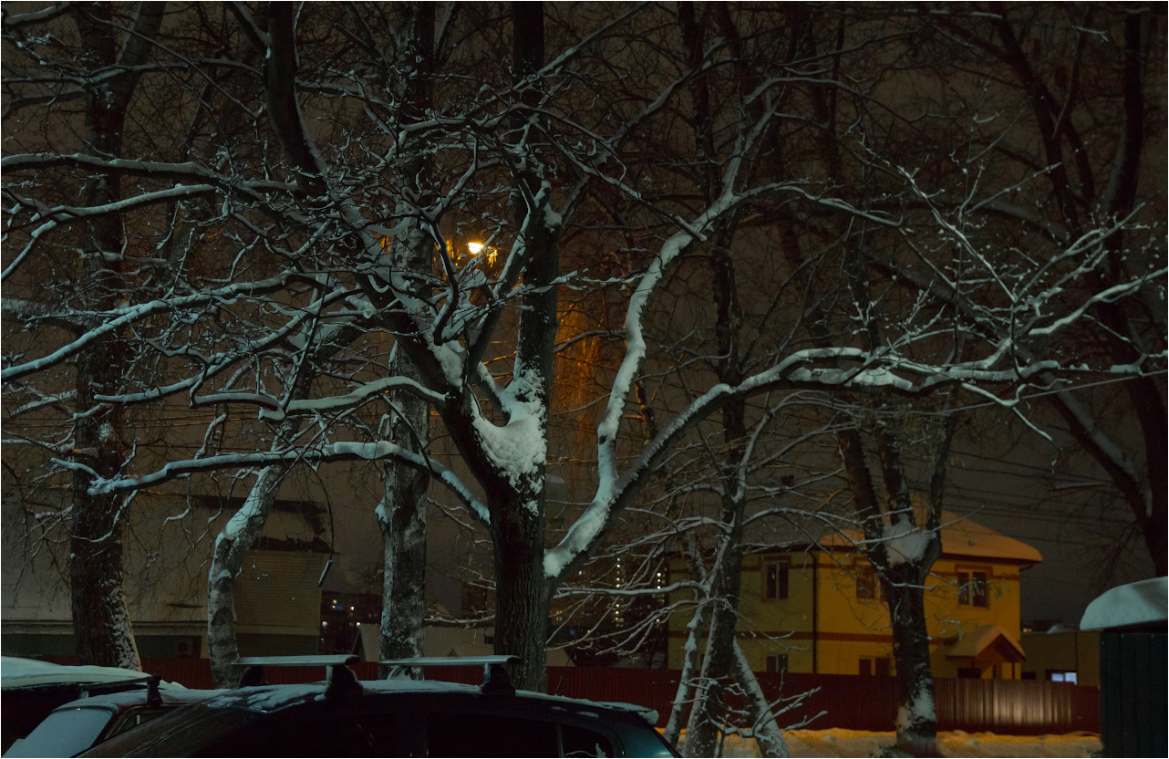 Фото-Тула. Виктор Дронов. Новогодние снега в вечерних светах
