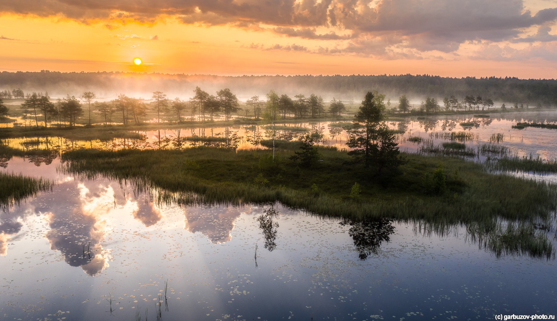 Галкинские болота в Калужской области