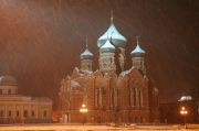 Фото-Тула. Алла Шогина. С первым снегом!