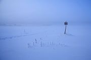 Фото-Тула. Шемонаев Роман. Арктика, Арктика, холодно, холодно.