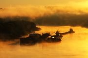 Фото-Тула. Александр Куликов. Немного солнца в утреннем тумане.
