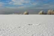 Фото-Тула. Анна Краснобаева. Пейзаж со снеговыми тучами