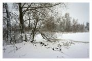 Фото-Тула. Николай Будин. О снежном феврале