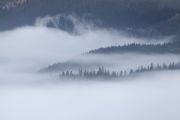 Фото-Тула. Душанкин Андрей. В море тумана