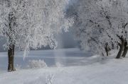 Фото-Тула. Вадим Соловьев. Зима