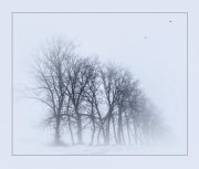 Фото-Тула. Николай Рамазанов. Сиреневый туман