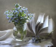 -.  . Forget-me-not ......
