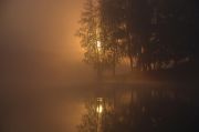 Фото-Тула. Руслан Сигушин. Утро начиналось с тумана