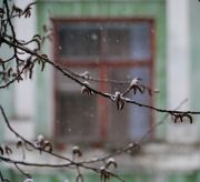 Фото-Тула. Елена Багирова. А за окном у нас весна.