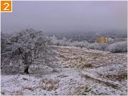 Фото-Тула. Георгий Сидоров. Зима на Юге