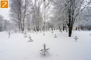 Фото-Тула. Валерий Маглена. Комсомольский парк, 25 февраля 2016 года.