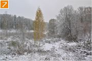 Фото-Тула. Георгий Сидоров. Второй зимний день в Белоусовском парке