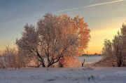 Фото-Тула. Елена Багирова. Зима