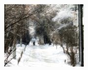 Фото-Тула. Ирина Грачёва. Под сенью снежных дерев...