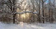 Фото-Тула. Сергей Кочергин. Зимний лес зовет к закату