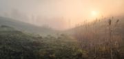 Фото-Тула. Сергей Кочергин. Майское утро в туманной долине