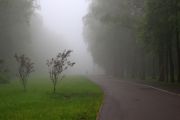 Фото-Тула. Щелокова Инна. Догоняющий туман.