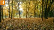 Фото-Тула. Георгий Сидоров. Осень в парке