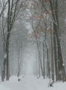 Фото-Тула. Андреев Роман. Снег идёт..