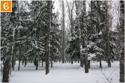 Фото-Тула. Георгий Сидоров. Зима в Центральном парке