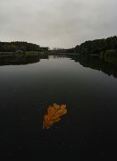 Фото-Тула. Ширшов Михаил. Осень в парке. Пасмурно.