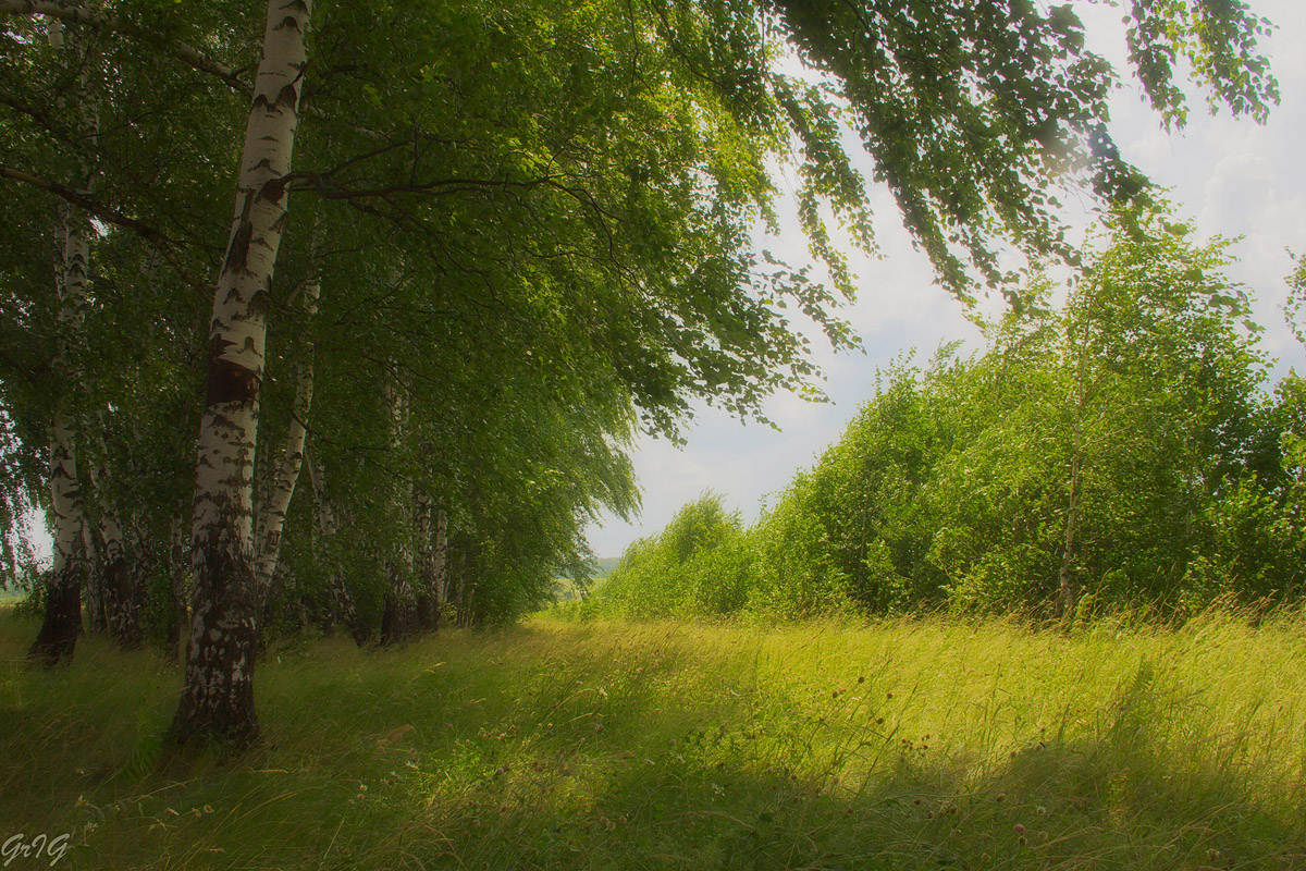 Шумите березы на белорусском