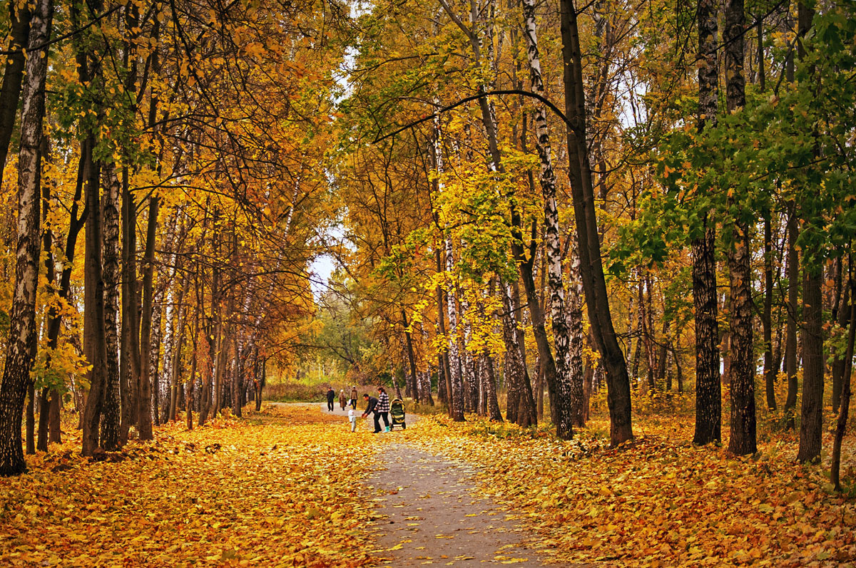 Фото-Тула. Горбушина Нина. Осень в Белоусовском парке.