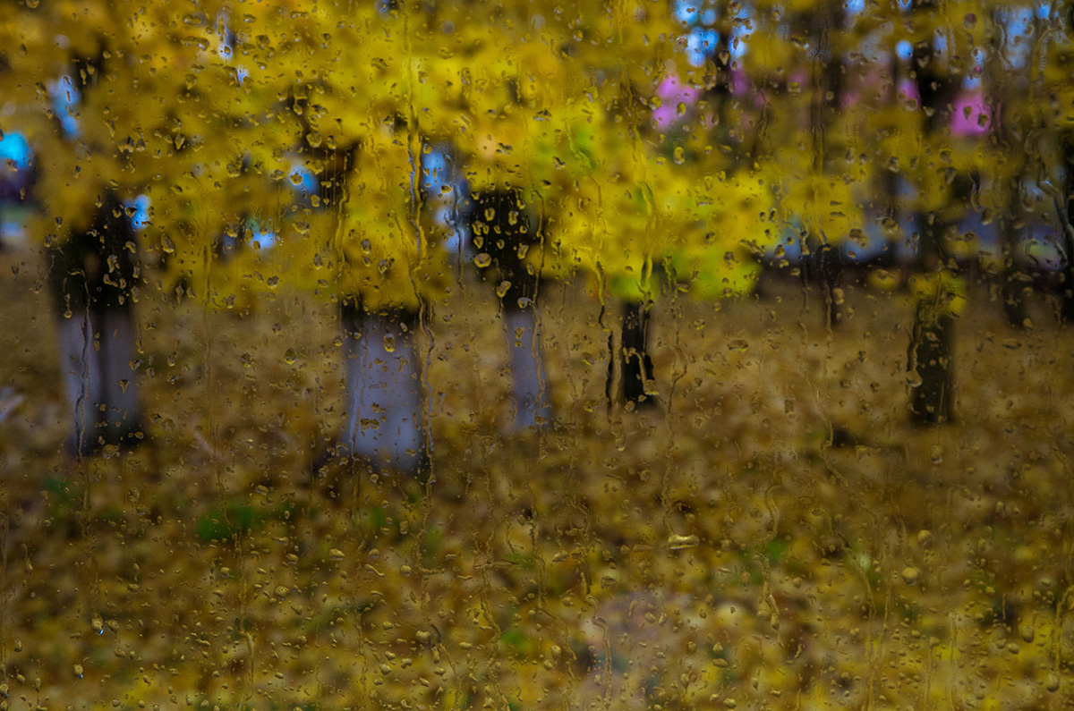 Осенние дождики вовсе не похожи впр 6. Осенние дожди на Алтае фото. Колонны осенние дожди. Одна и та же картинка лето и осень с дождем. Могилевская синий дождь по осеннему Хрещатику.
