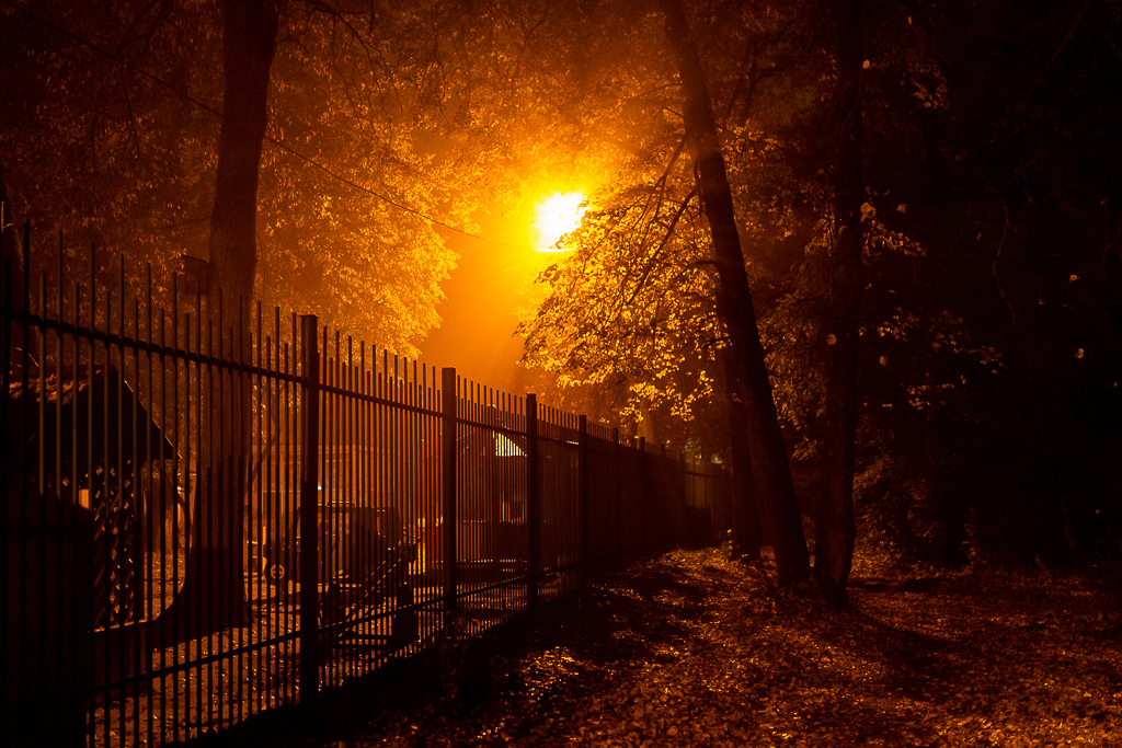 Фото-Тула. Сергей Зимин. Осенний туман.