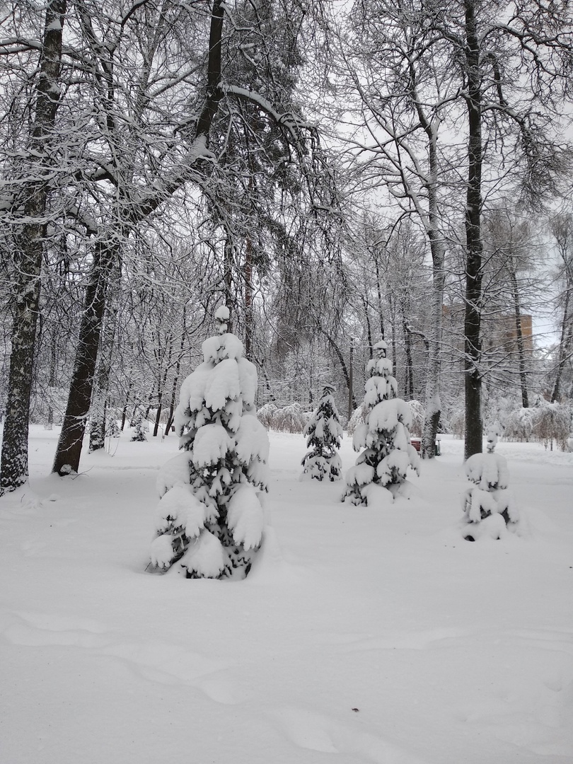 Фото-Тула. Георгий Сидоров. Снежный день