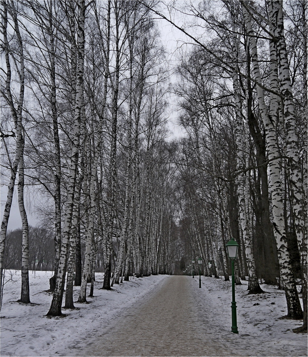 Фото-Тула. Георгий Сидоров. Прогулка в хмурый зимний день