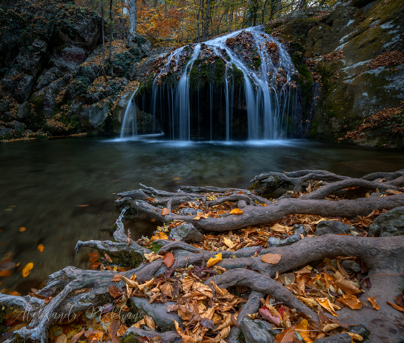 Фото-Тула. Александр Плеханов. Осенние листья