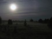 Фото-Тула. Бим Патрик. Ночной луг при полной луне.