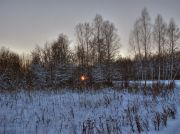 Фото-Тула. Бим Патрик. Зимний лес на закате