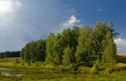 Фото-Тула. Алексей Фишер. лесной пейзаж с облаком