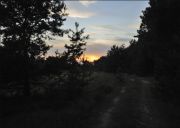 Фото-Тула. Бим Патрик. Вечерняя прогулка за уходящим солнцем бабьего лета.