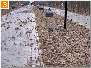 Фото-Тула. Георгий Сидоров. Листья сегодня были живыми...