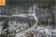 Фото-Тула. Георгий Сидоров. Первый снег в Рогоженском парке-1
