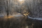 Фото-Тула. Руслан Сигушин. В зимнем лесу