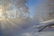 Фото-Тула. Михаил Агеев. Долгое эхо зимы