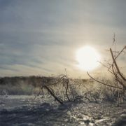 Фото-Тула. Александр Куликов. Блестящий холод под несогревающим светом...