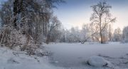 Фото-Тула. Сергей Кочергин. Морозное утро в Баташевском саду