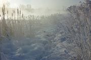 Фото-Тула. Андрей Романов. Туманное морозное утро января.